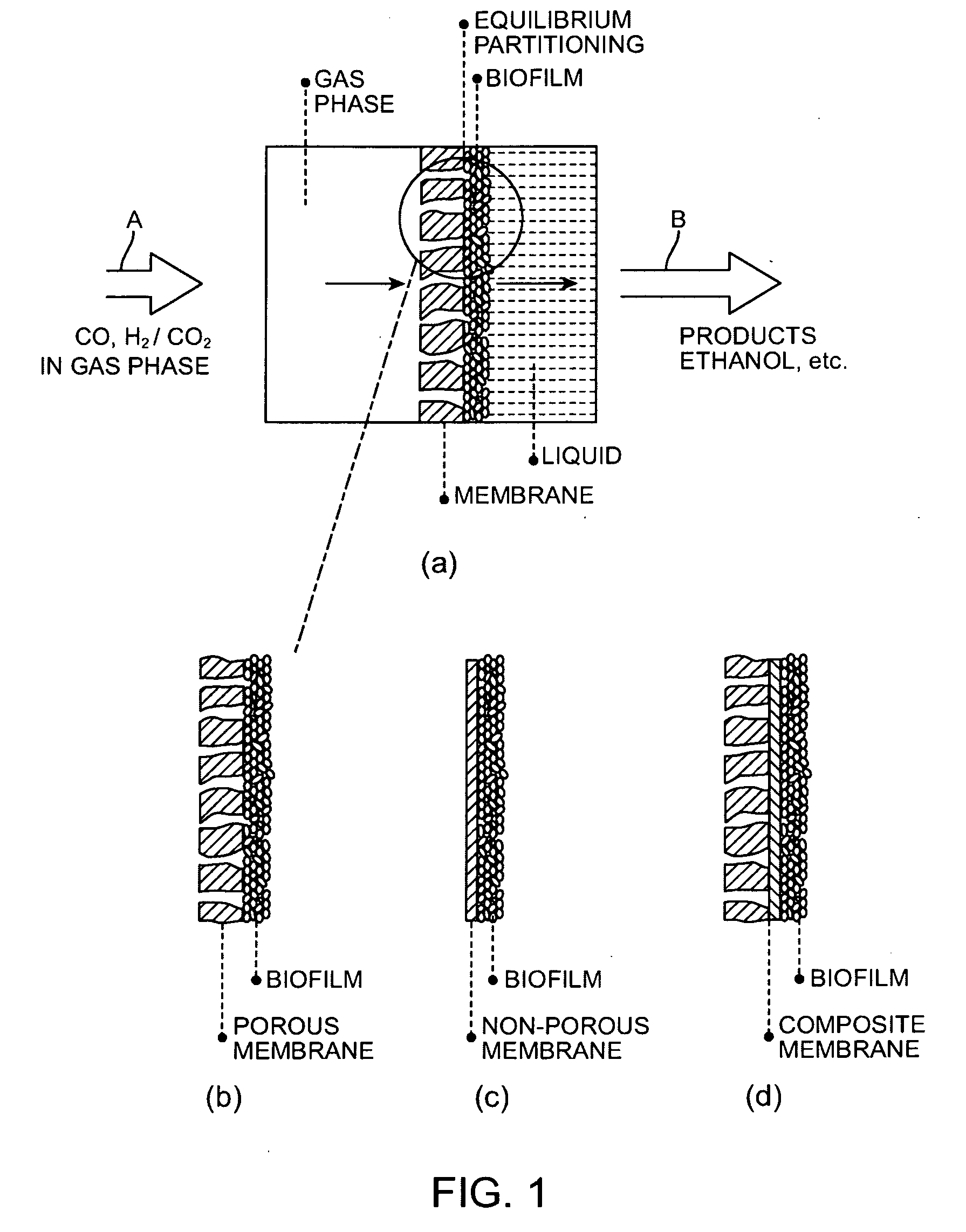 Process to sequence bioreactor modules for serial gas flow and uniform gas velocity