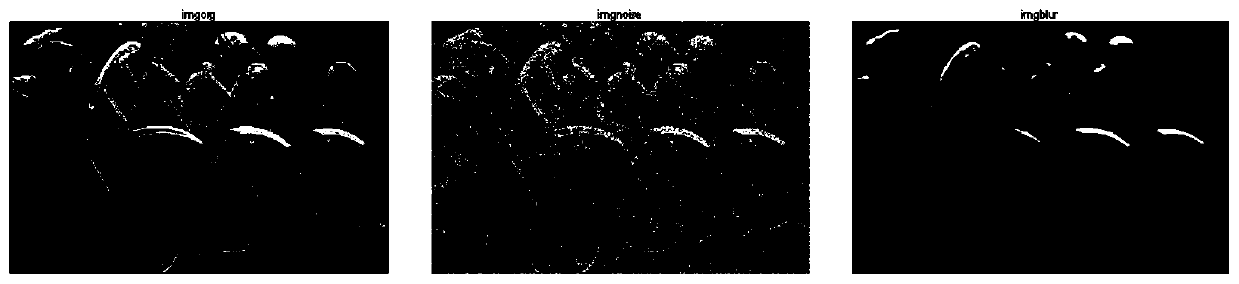 Image quality evaluation method and device for mixed degraded images