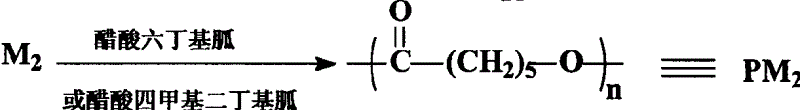 Process of snthesizing medical biological degradative material by acetic acid organic guanidine as catalast