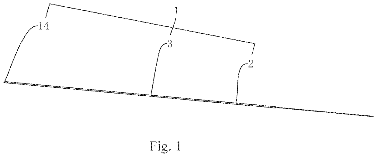 Ureteral Catheter Structure