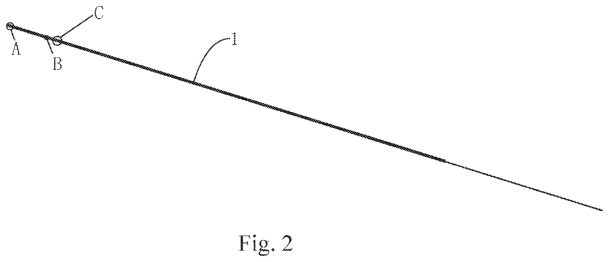 Ureteral Catheter Structure