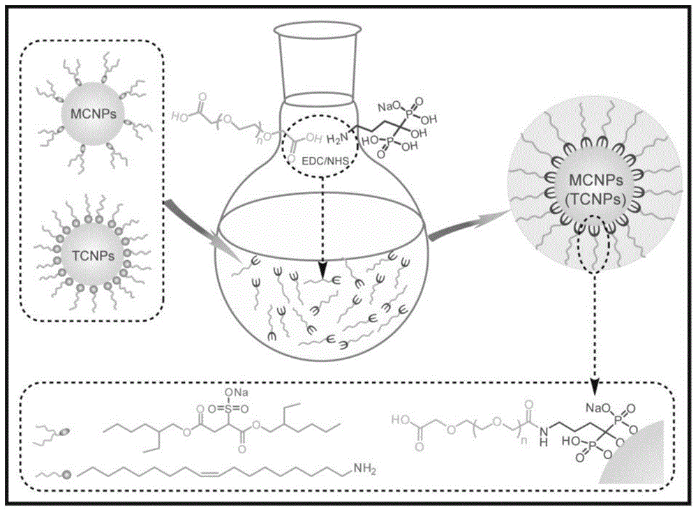 Surface modification method for cerium nano-particles