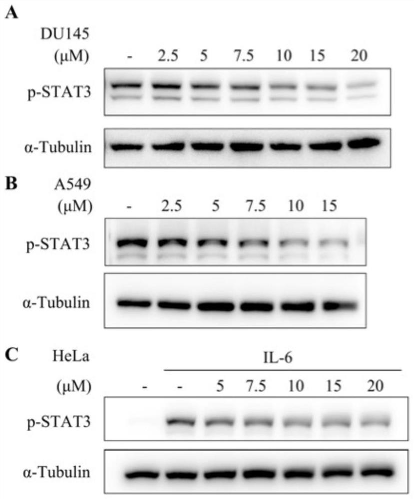 Application of tegaserod in preparation of antitumor drugs