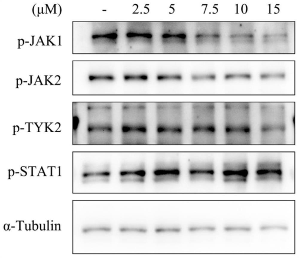 Application of tegaserod in preparation of antitumor drugs