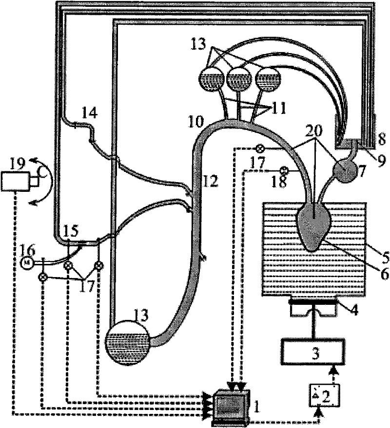 Biomechanical experiment simulation device for implantation of intravascular stent