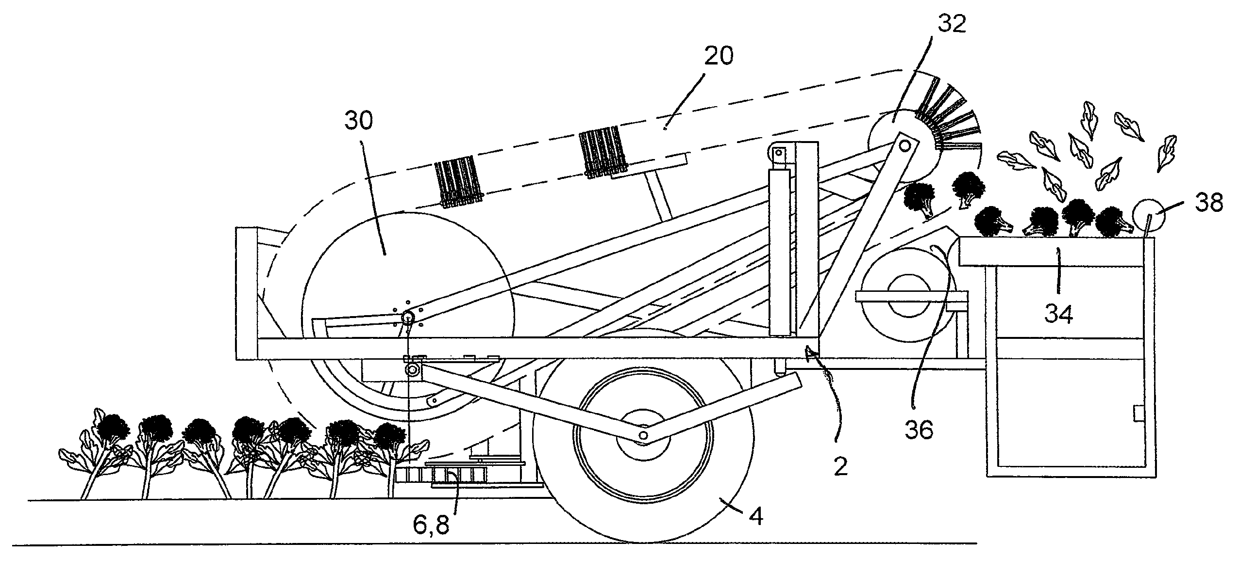 Brassica harvester