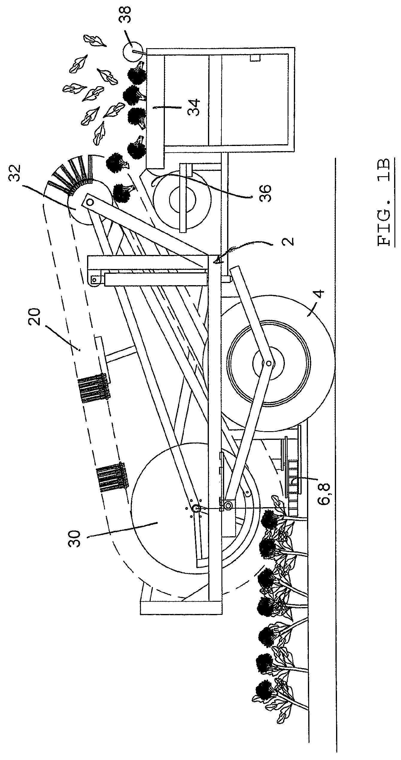 Brassica harvester