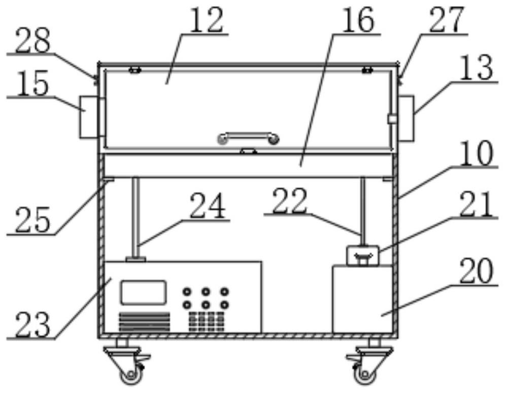 Haploid breeding device and breeding method for red flowering Chinese cabbage