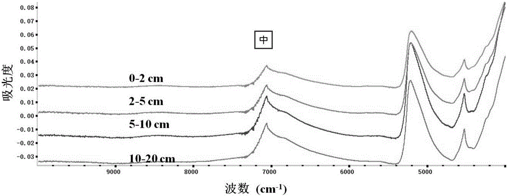 Method for detecting organic components of soil by utilizing near infrared spectrum