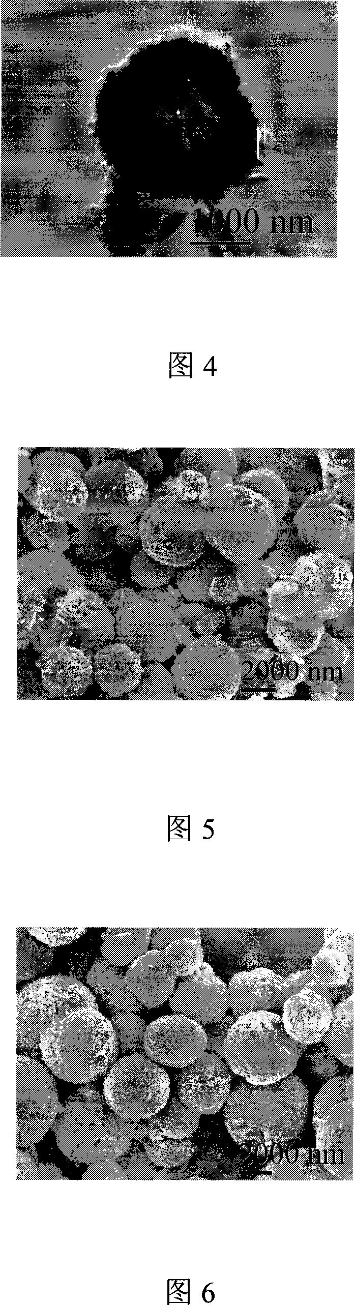 Ferrum oxidate nano magnetic material and method for preparing the same