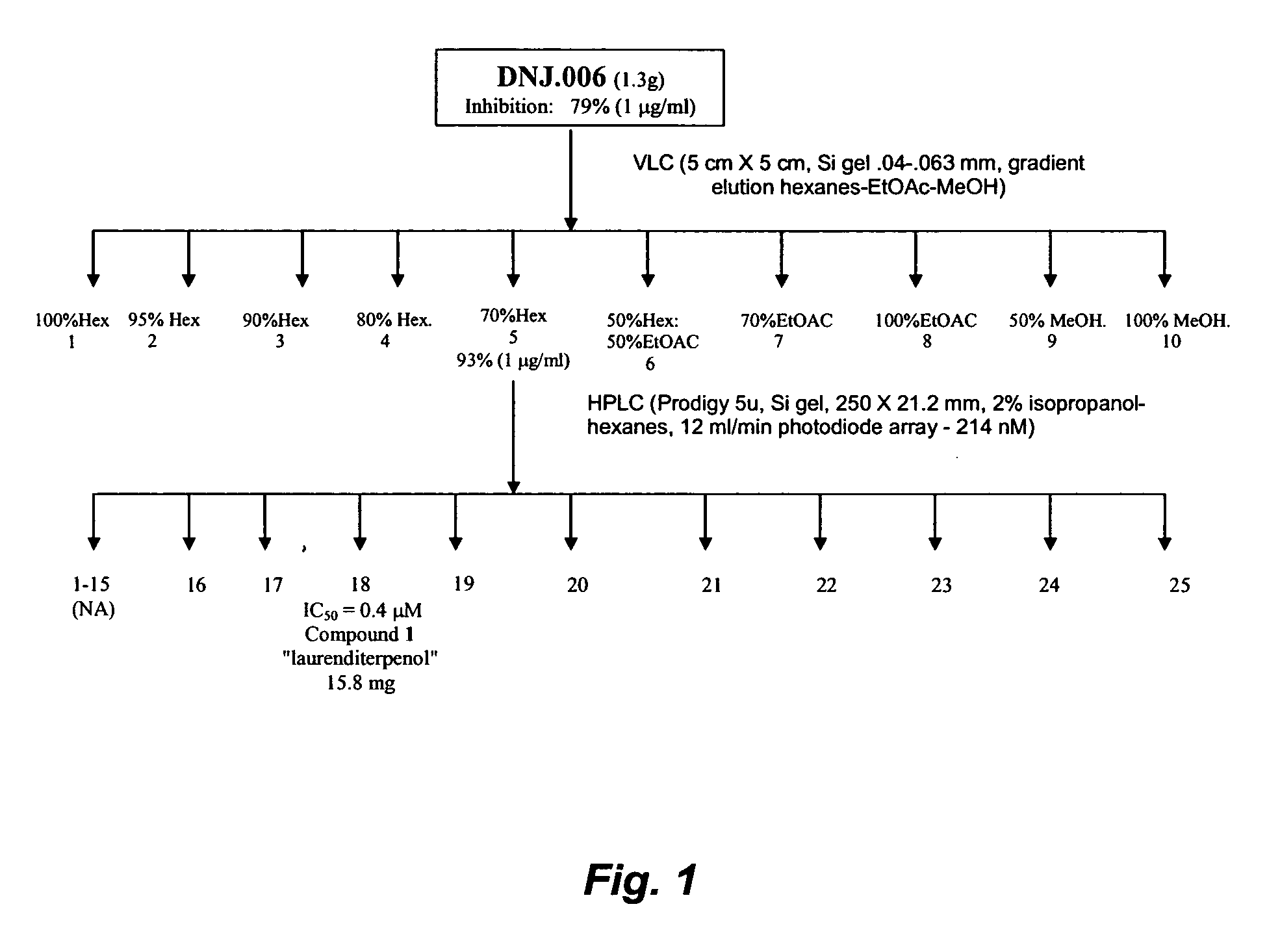 Novel compounds and methods for inhibiting cellular responses to hypoxia