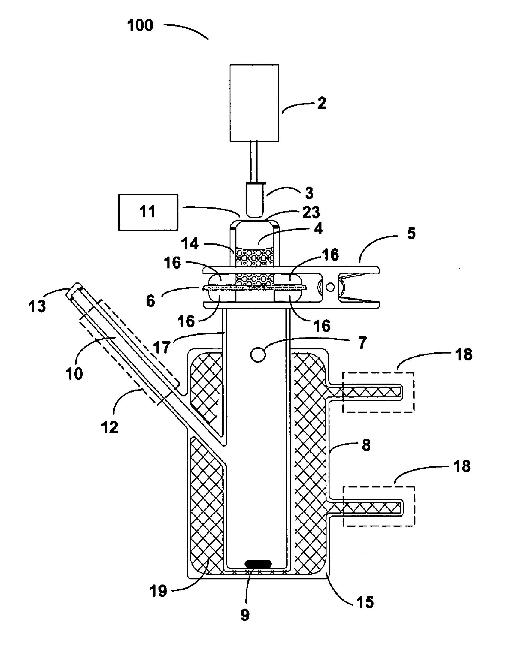 Delivery of large molecular weight biologically active substances