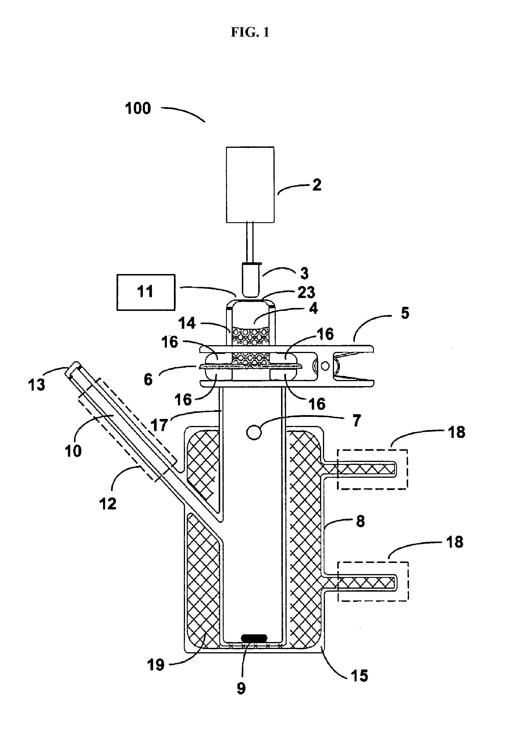 Delivery of large molecular weight biologically active substances