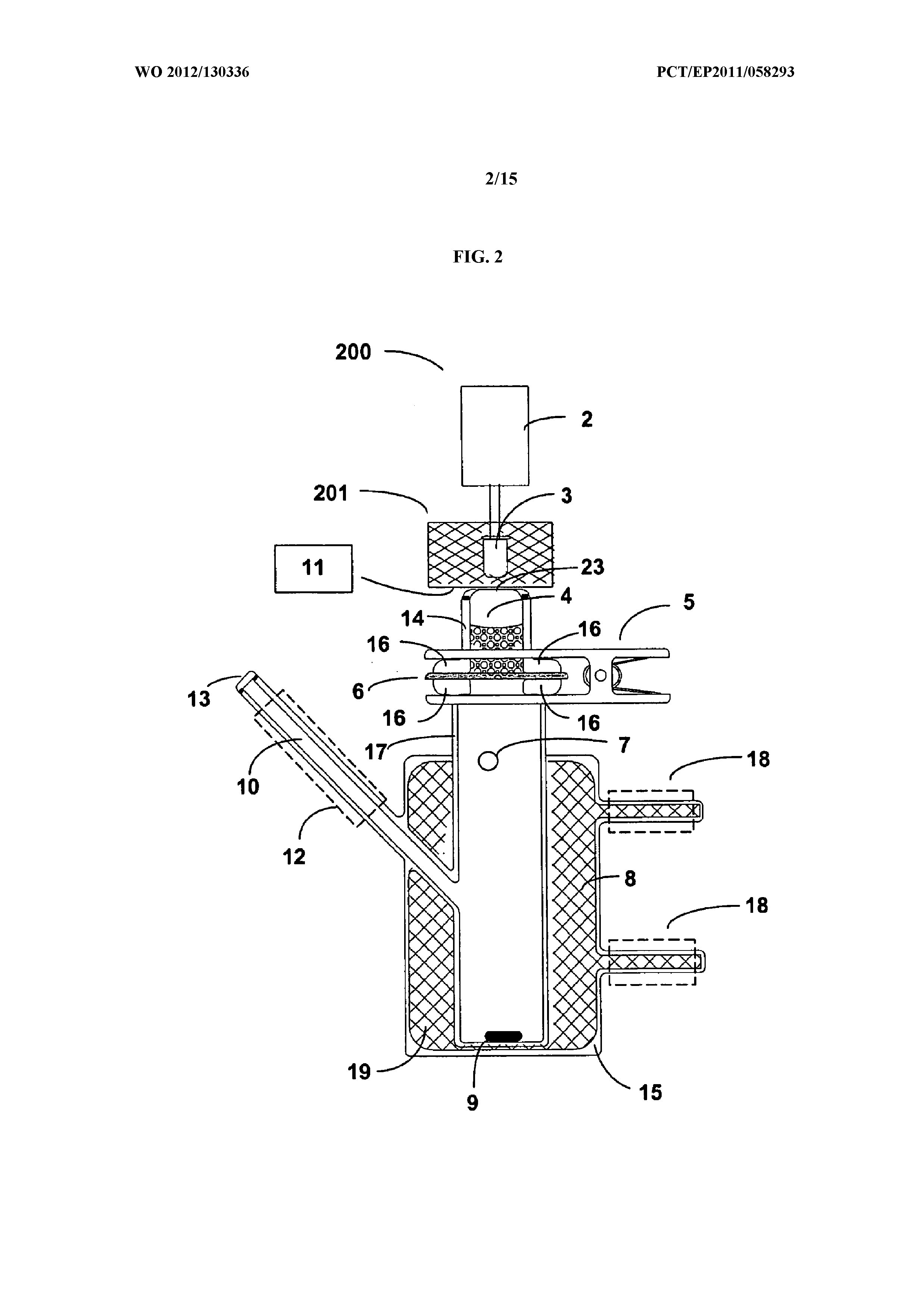 Delivery of large molecular weight biologically active substances