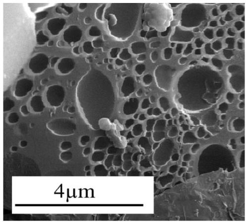 Coal tar-based ultra-high specific surface area nitrogen-containing porous carbon and preparation method and application thereof