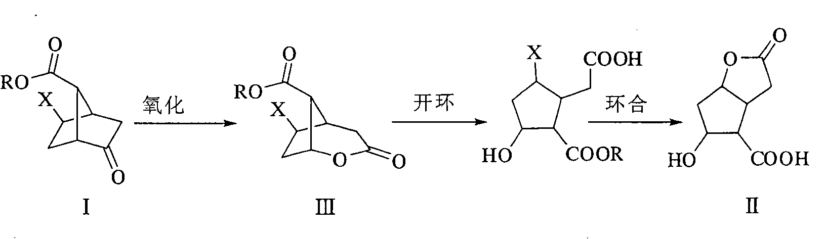 New technology for synthesizing Corey lactonic acid by one-pan boiling method