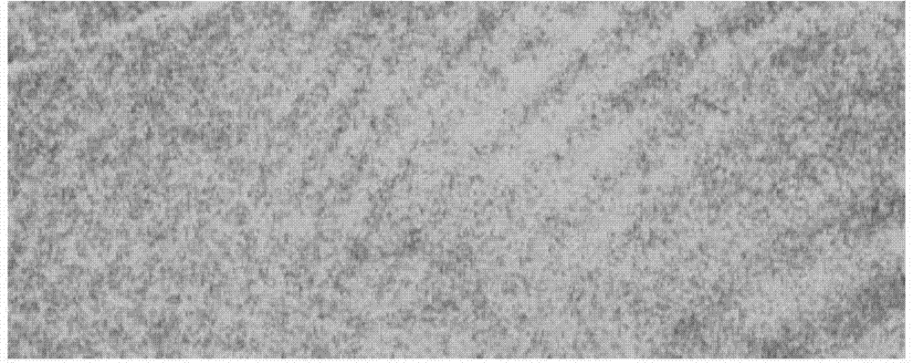 Three-dimensional deformation measuring system and three-dimensional deformation measuring method combining speckle correlation and speckle interference