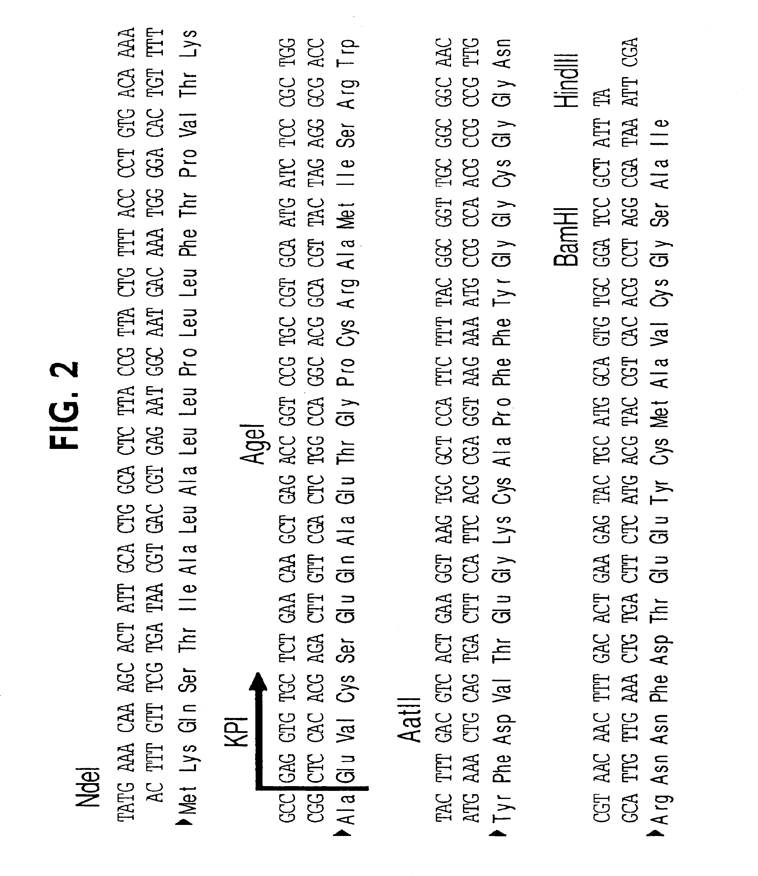 Protease inhibitor peptides