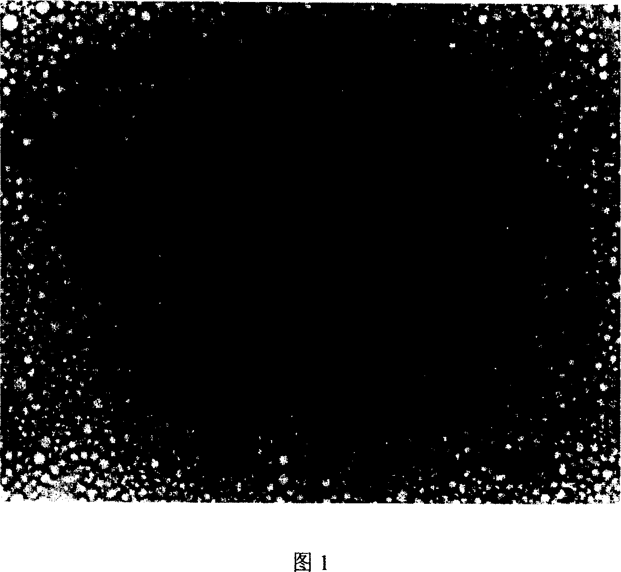 Ursine fat injection emulsion, and its prepn. method