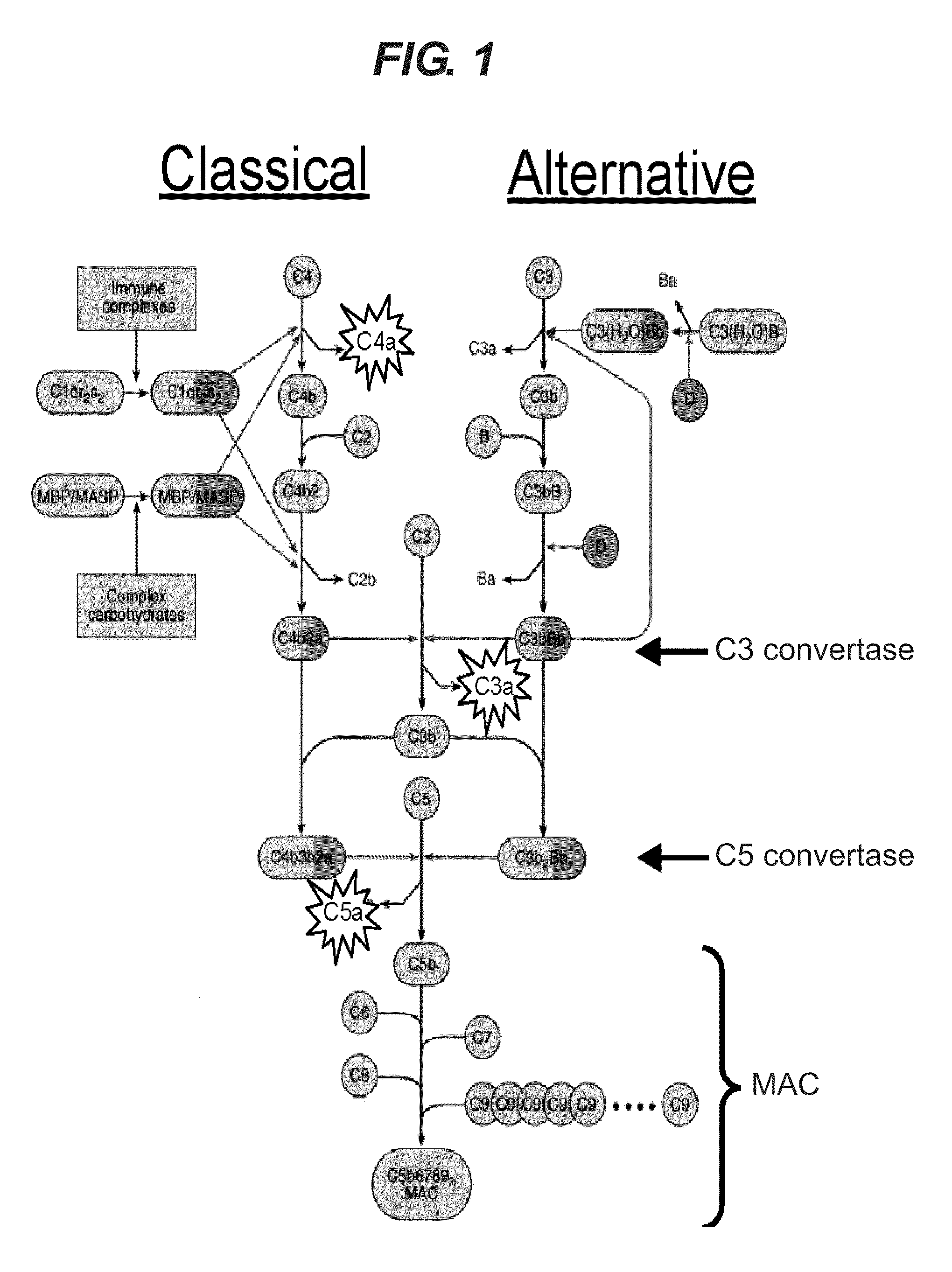 Method of treating respiratory disorders