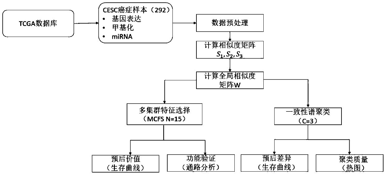 Multi-omics cancer data integrating and analyzing method based on similarity fusion