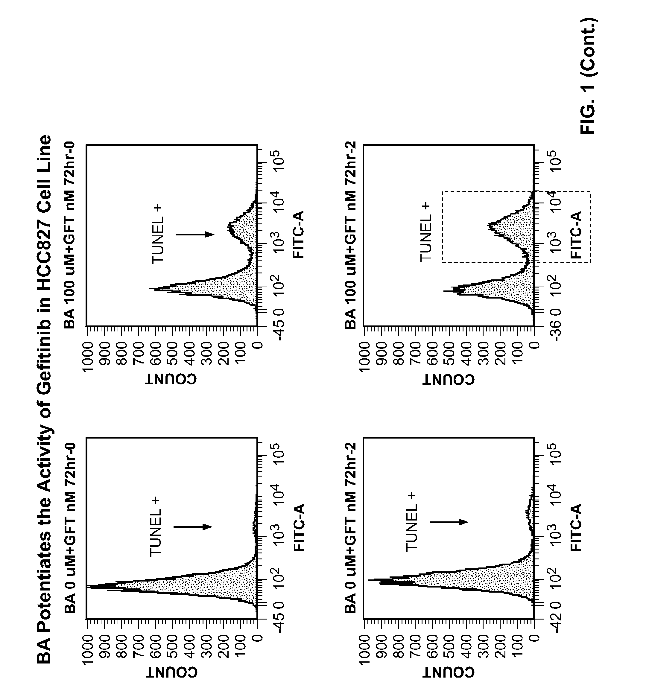 Treatment of lung cancer with a nitrobenzamide compound in combination with a growth factor inhibitor