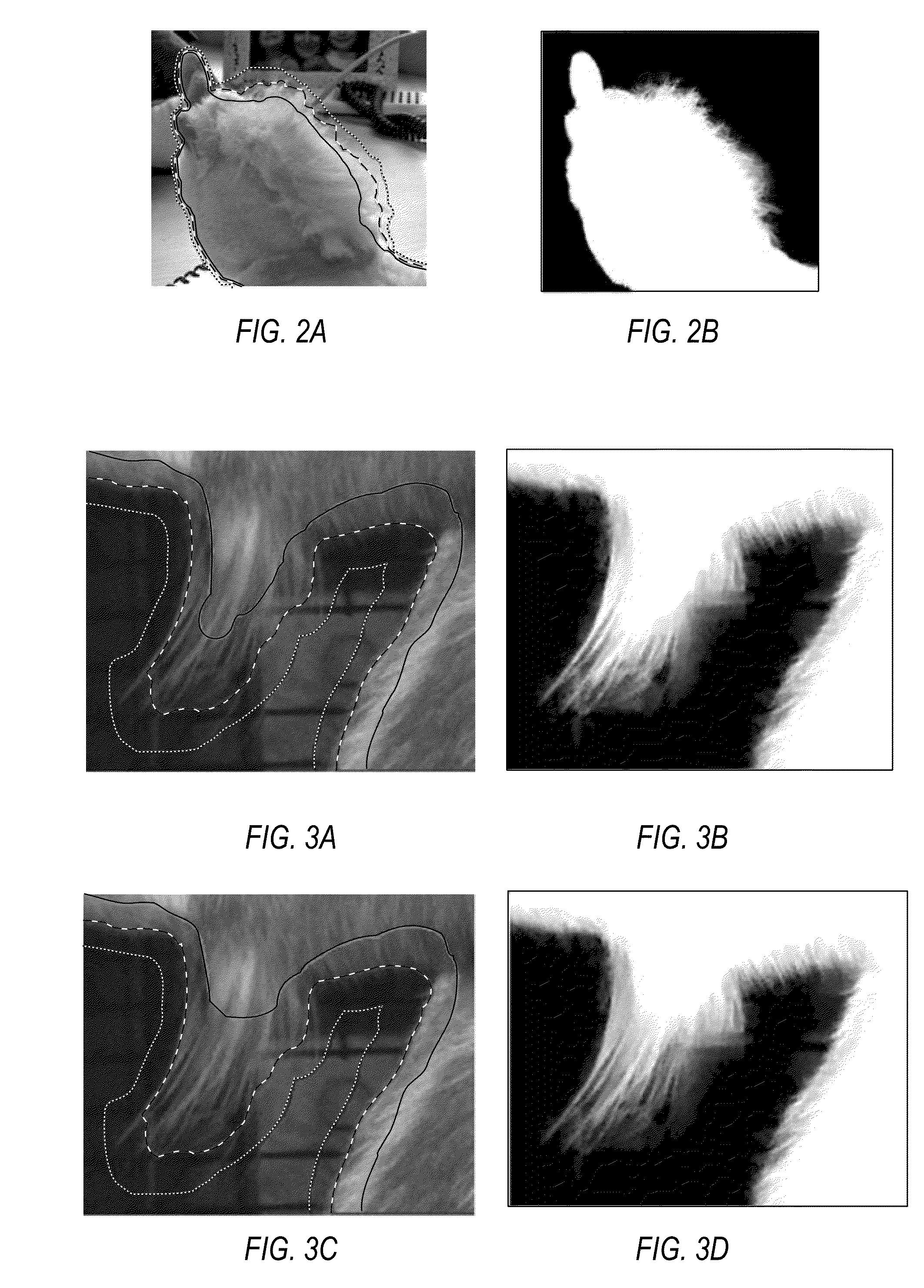 Temporal Matte Filter for Video Matting