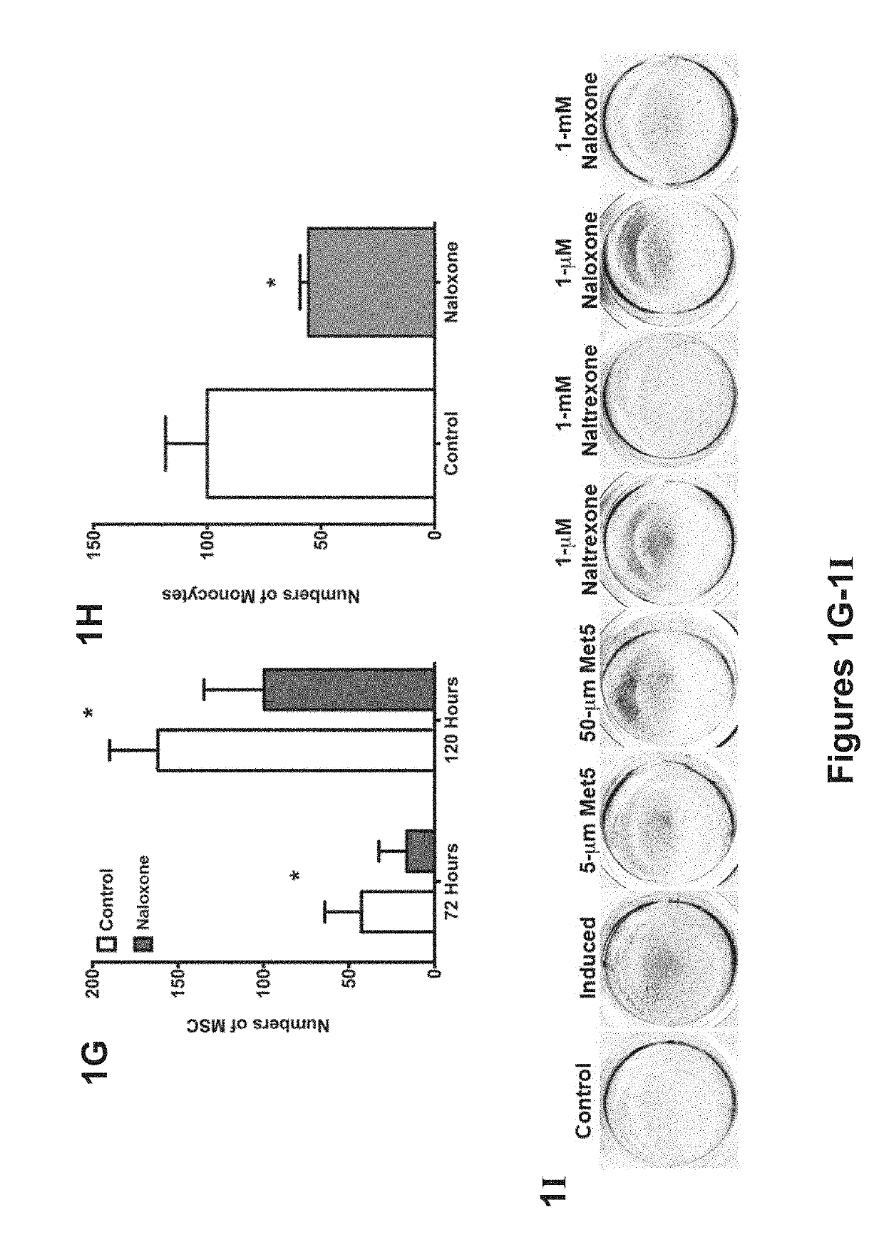 Compositions and methods to promote bone formation