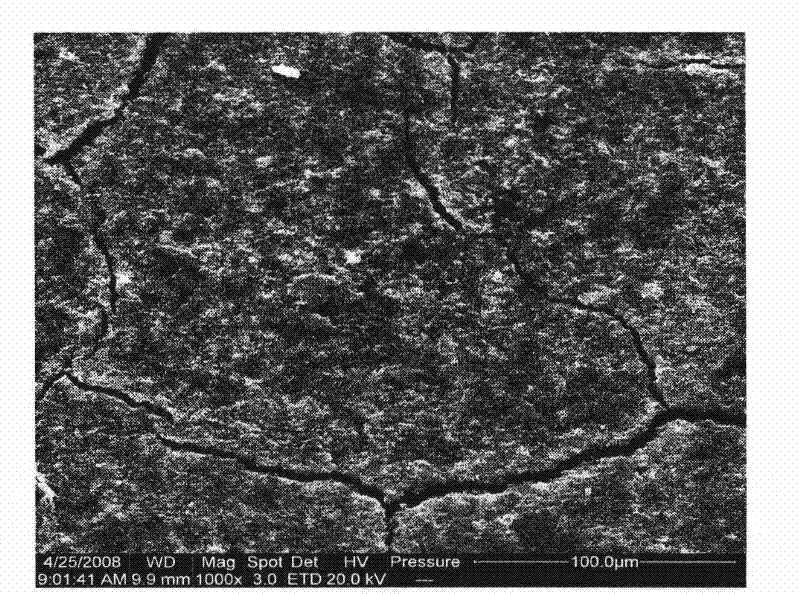 Gas diffusion layer for proton exchange membrane fuel cells and preparation method thereof