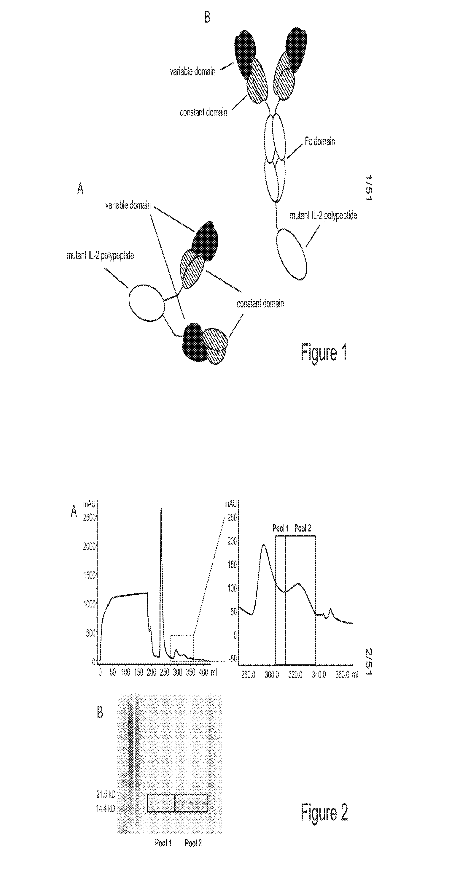 Mutant interleukin-2 polypeptides