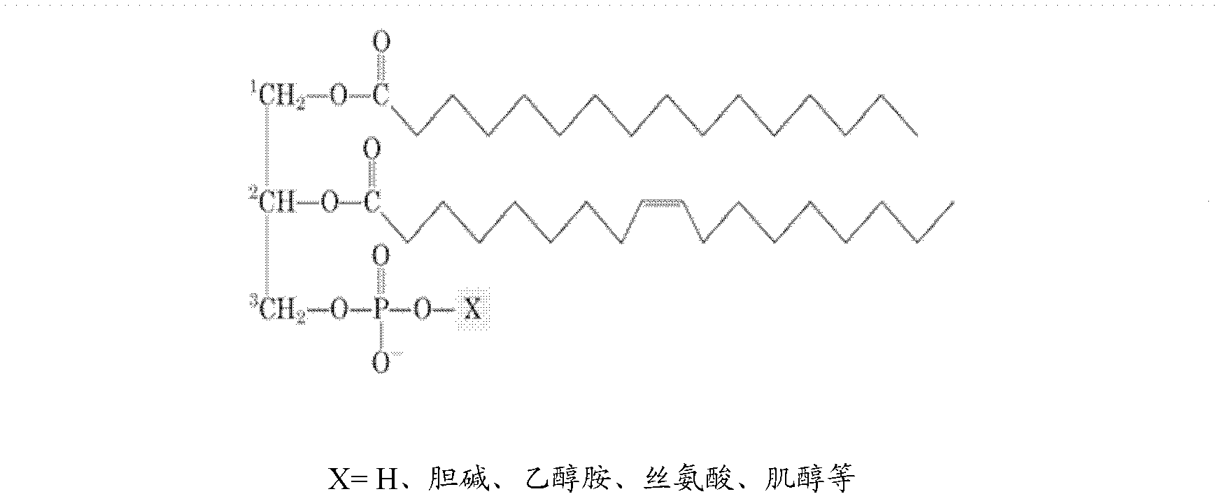 Method for degumming vegetable fat by using phosphatidase A2