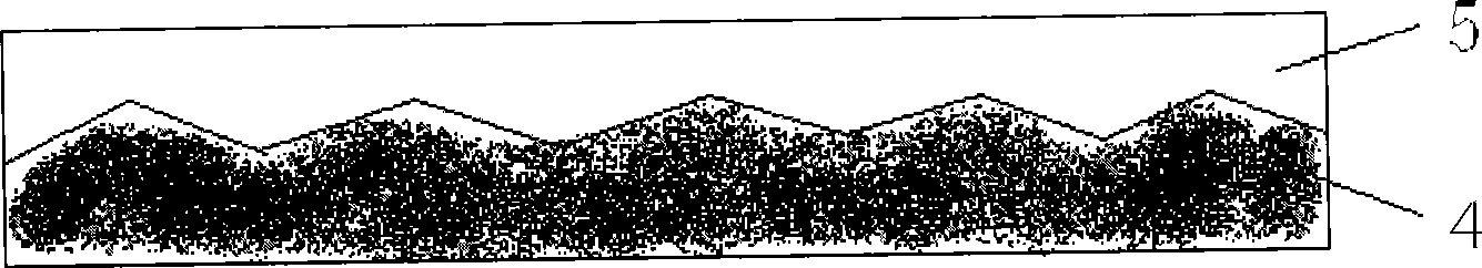 Ion liquid electrolyte containing bi-(fluorosulfonic acid) imines ion and iodine ion, and application thereof