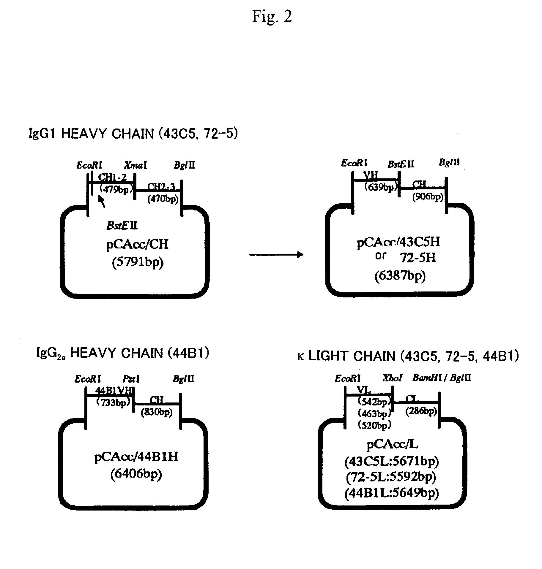 Remedy for prion disease and method of producing the same