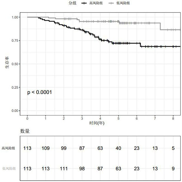 Prognostic marker and prognostic model of lung cancer and related applications