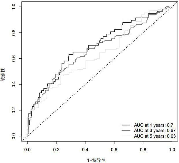 Prognostic marker and prognostic model of lung cancer and related applications