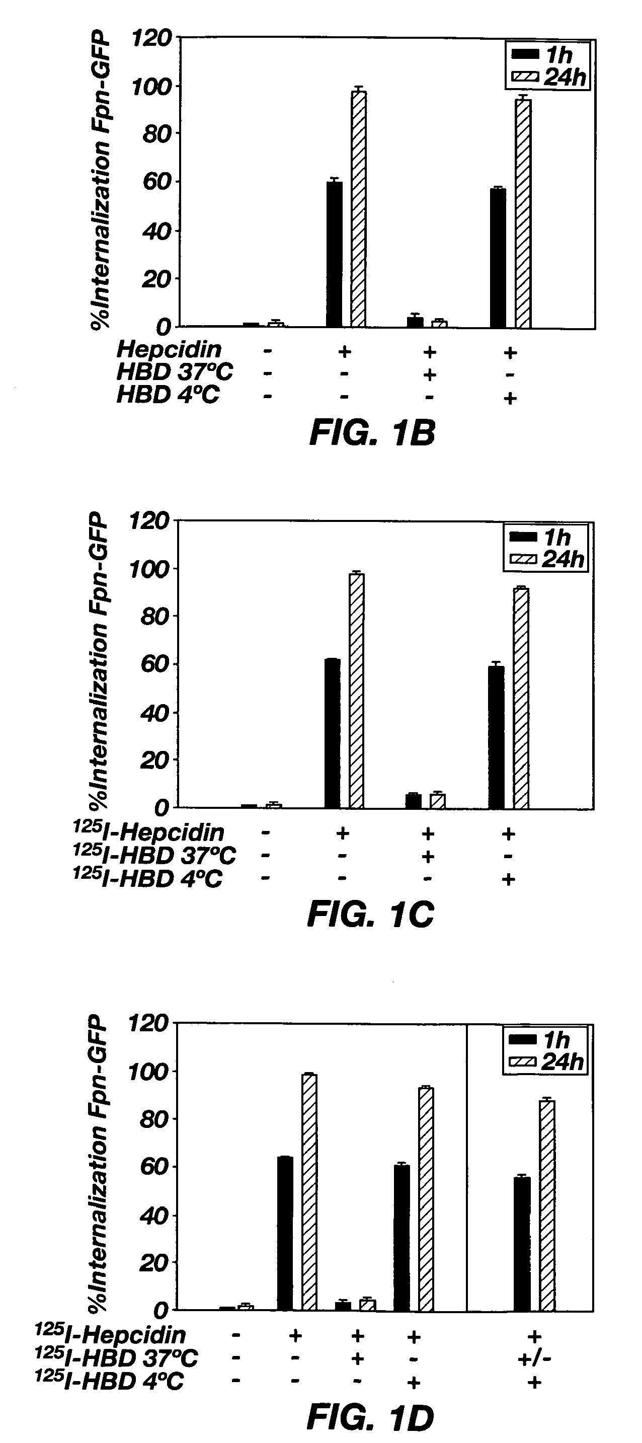 Identification of the hepcidin binding site on ferroportin