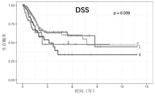 MIBC typing and prognosis prediction model construction method based on microbial abundance