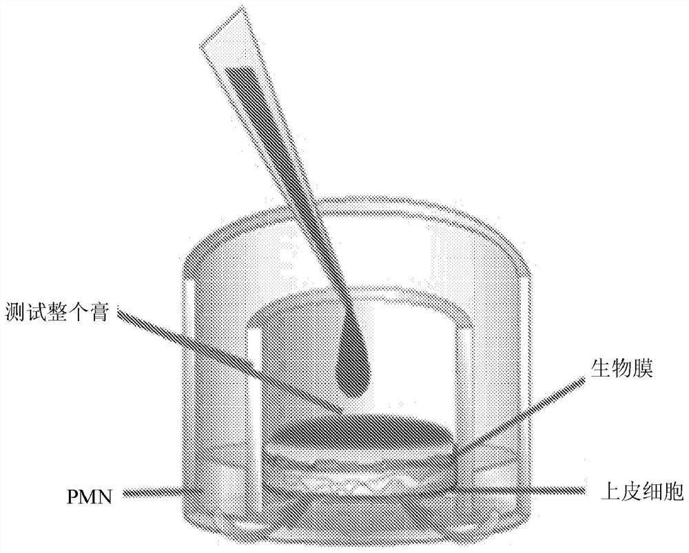 Methods of inhibiting neutrophil recruitment to the gingival crevice