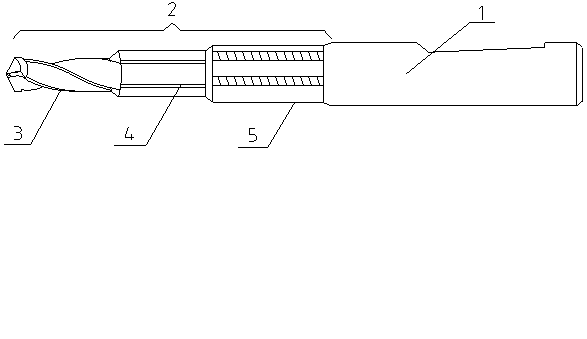 Drilling and milling screw tap