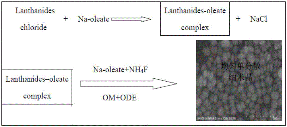 Rare earth-doped NaGdF4 upconversion nanocrystalline and preparation method thereof