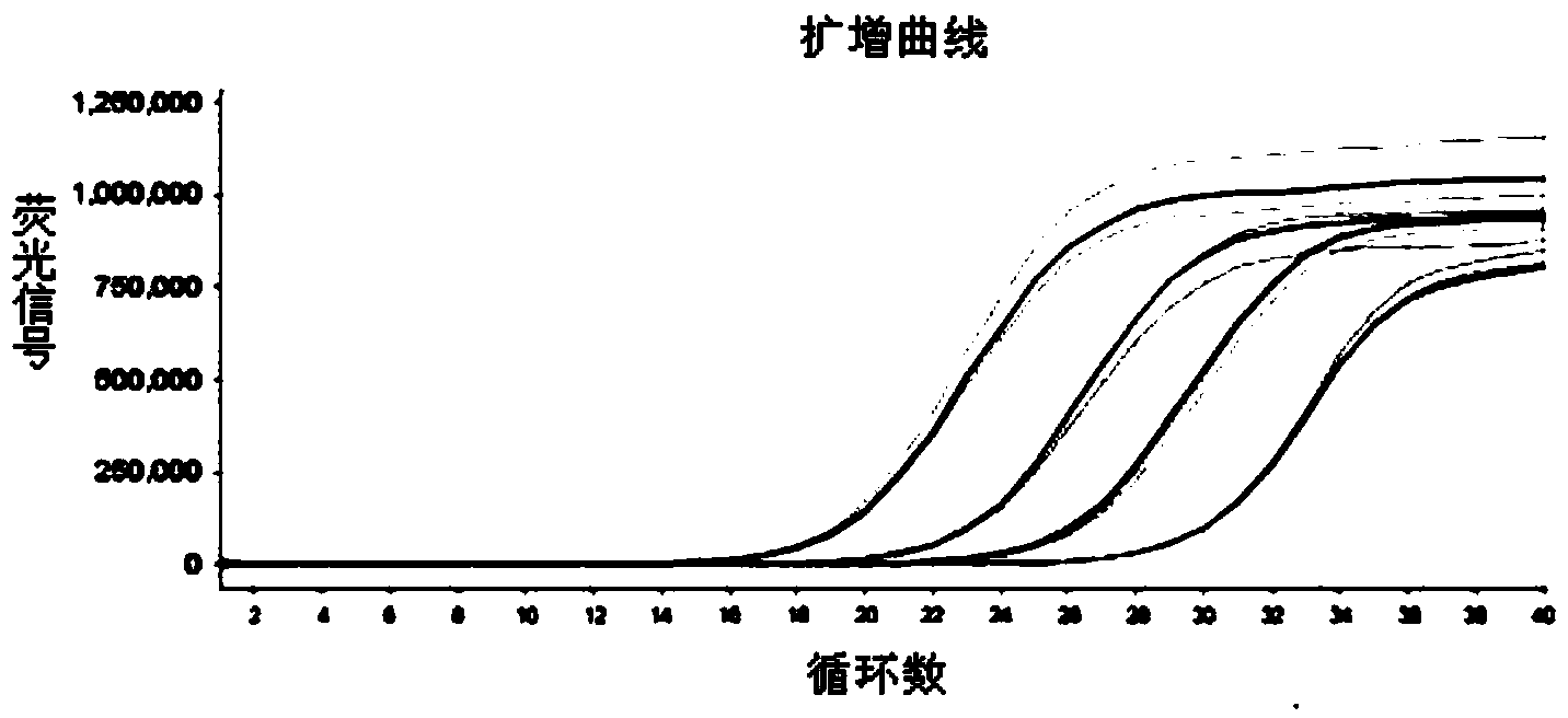 Quantitative detection kit of hepatitis B virus (HBV) nucleic acid