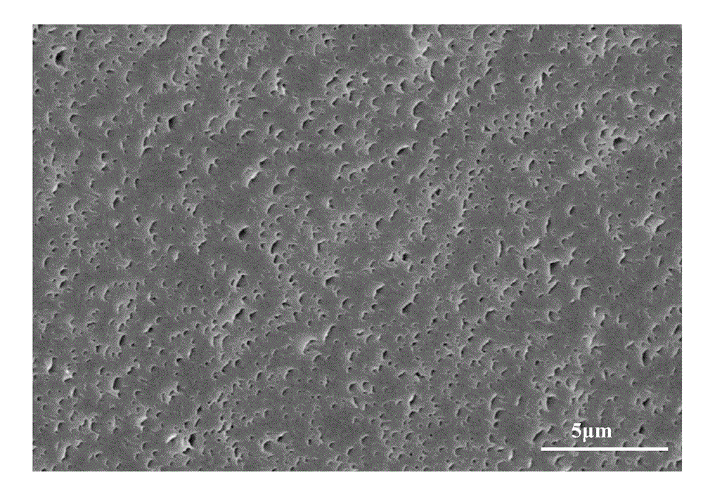 Polypropylene composition, and preparation method and application thereof