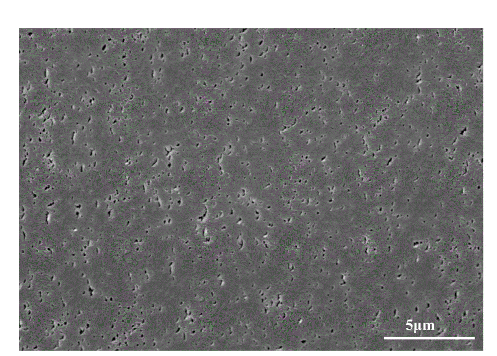 Polypropylene composition, and preparation method and application thereof