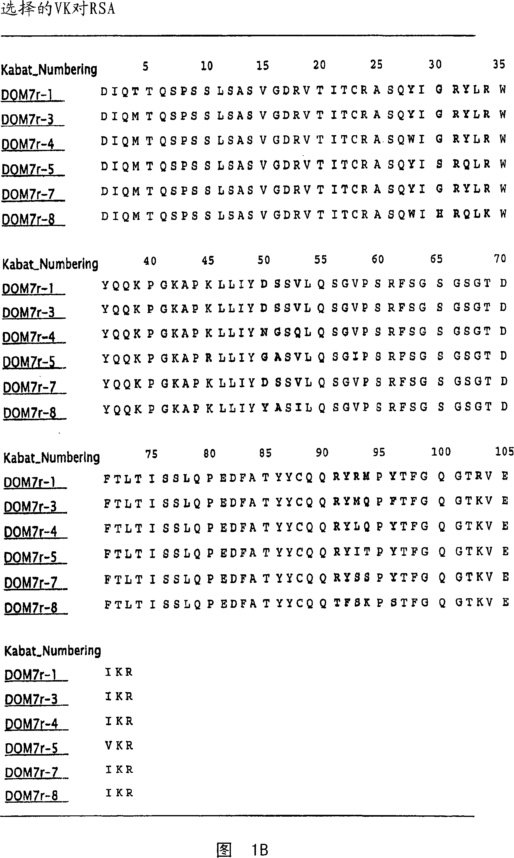 Bispecific domain antibodies targeting serum albumin and GLP-1 or PYY