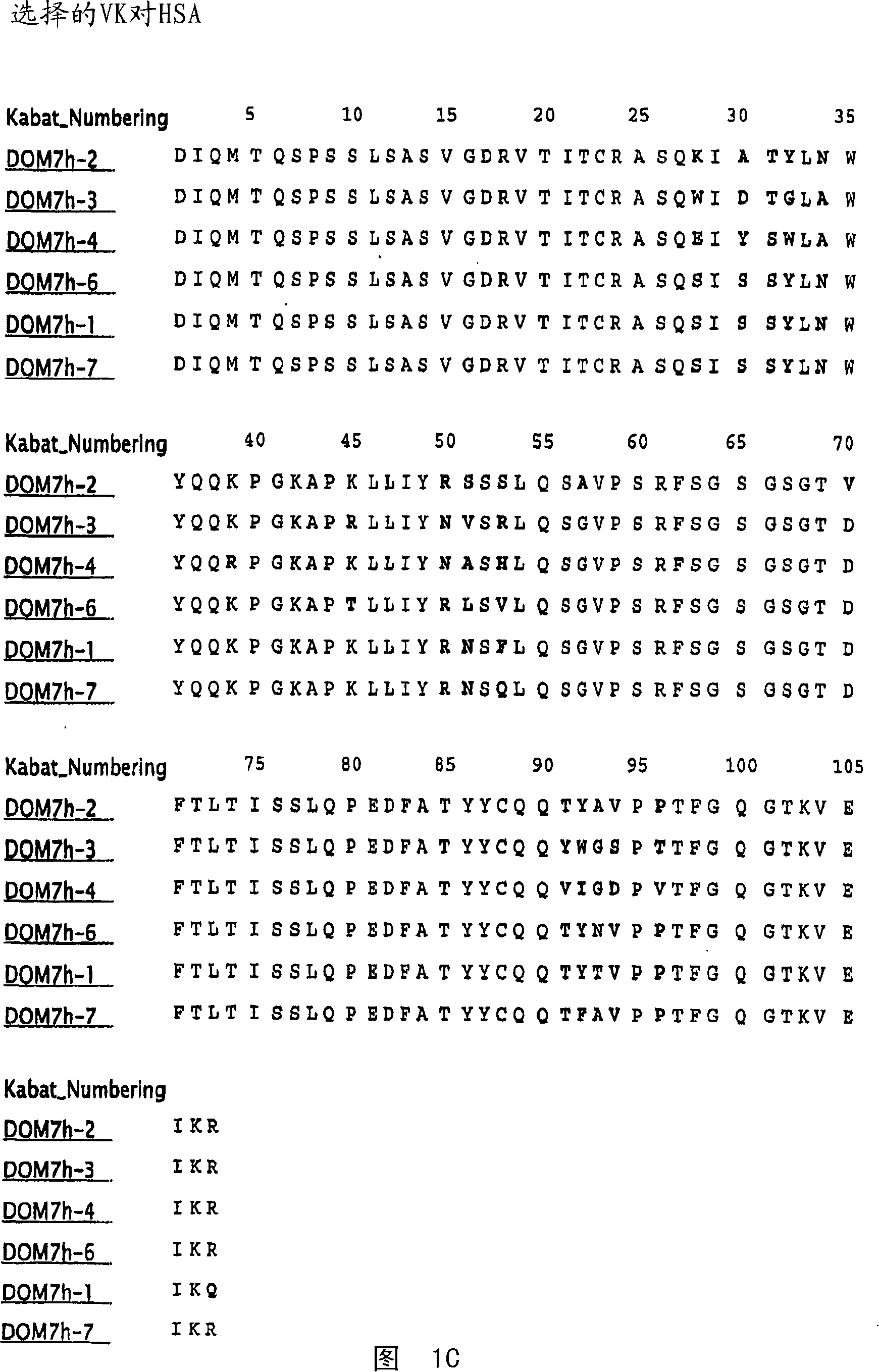 Bispecific domain antibodies targeting serum albumin and GLP-1 or PYY