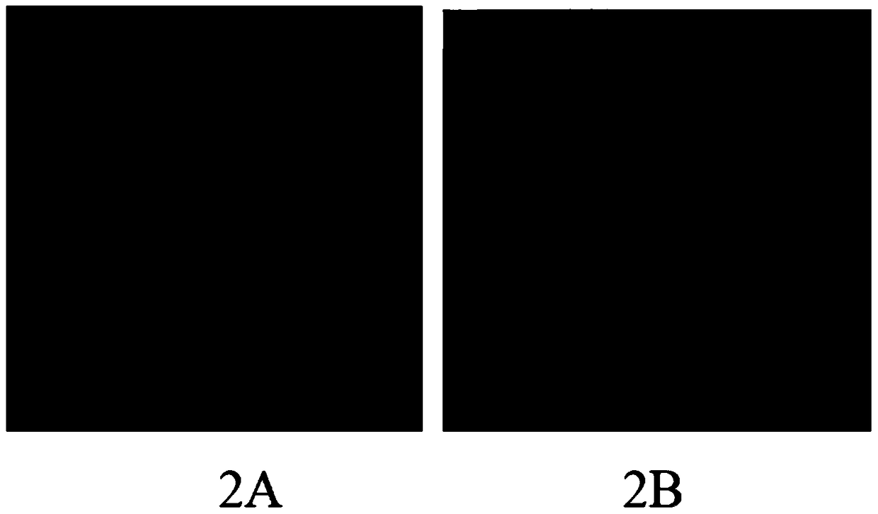 A kind of bionic porous tissue engineering cartilage scaffold preparation method