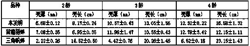 A kind of production method of the pearl oyster new line that improves the quality of pearl nuclei