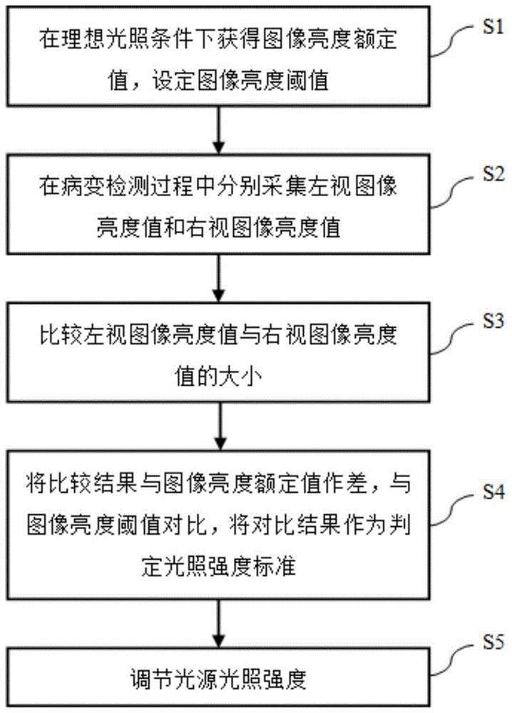 Stereoscopic endoscope light source brightness adjustment system and method