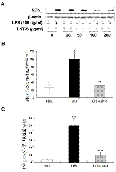 Champignon beta-glucan having anti-inflammation activity, and preparation method and application thereof