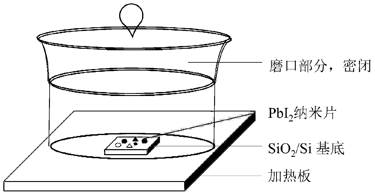 Preparation method of highly stable lead-based organic-inorganic hybrid perovskite nano sheet